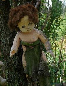 娃娃岛图片,梦幻乐园的奇幻之旅