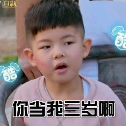 嘟嘴暴走表情包,表情包中的情绪释放与社交共鸣