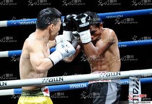 拳击林春雷个人资料,拳击赛场上的钢铁战士,荣耀与拼搏的传奇人生