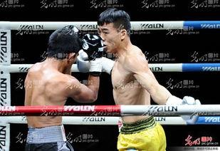 拳击林春雷个人资料,拳击赛场上的钢铁战士,荣耀与拼搏的传奇人生