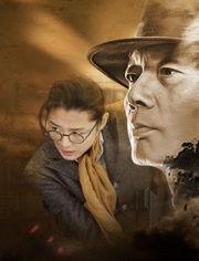 制霸上海滩演员表,演绎风云际会的时代传奇，群星闪耀的璀璨阵容