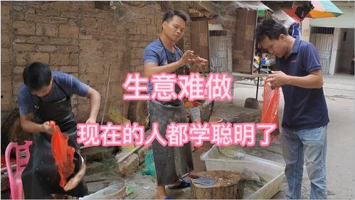 人学猪的搞笑视频,人学猪搞笑视频大盘点